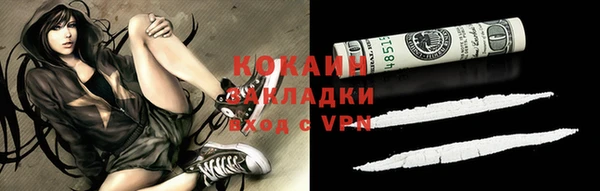 бошки Болотное