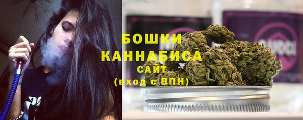 бошки Болотное